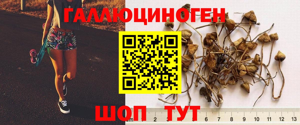 Алексин  Галлюциногенные грибы прущие грибы  Вход с VPN 